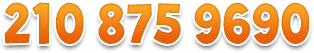 210 875 9690